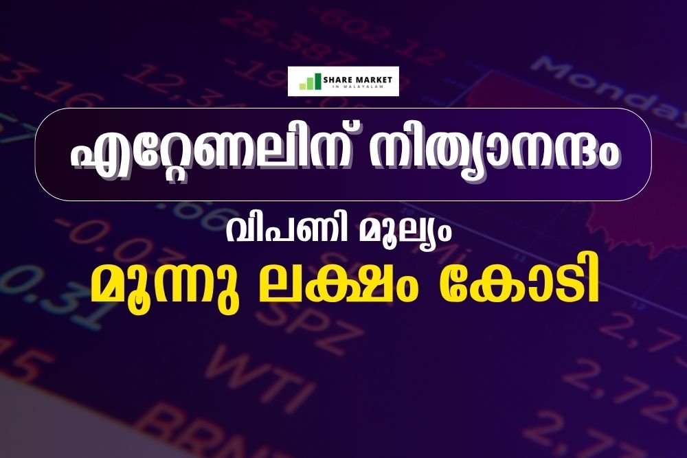 ലാഭം കുറഞ്ഞാലെന്ത്, എറ്റേണലിന് നിത്യാനന്ദം! വിപണി മൂല്യം മൂന്നു ലക്ഷം കോടി, ടാറ്റാ മോട്ടോഴ്‌സ്, വിപ്രോ തുടങ്ങി നിഫ്റ്റി-50 വമ്പന്മാര്‍ പിന്നില്‍